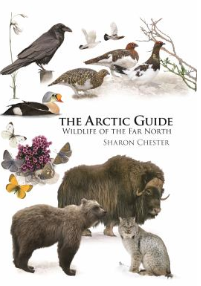Book cover of "The Arctic guide".