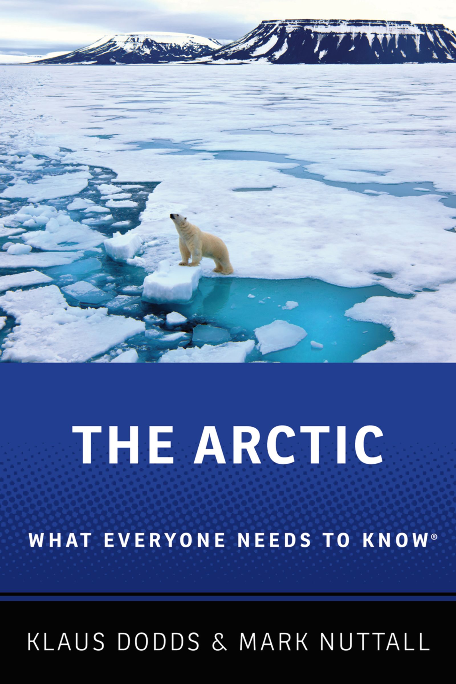 Book cover "The Arctic : What everyone needs to know".