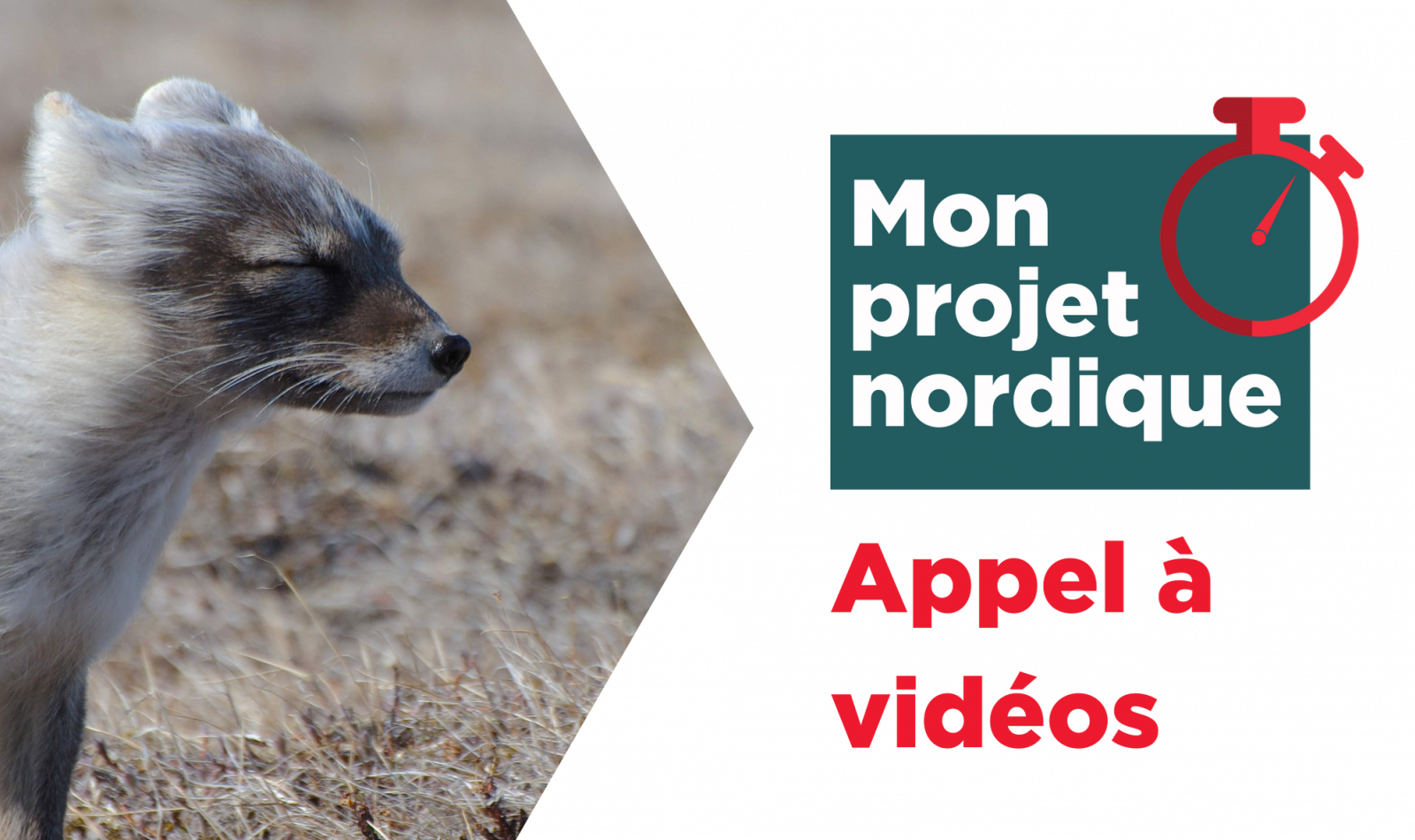 appel à vidéos