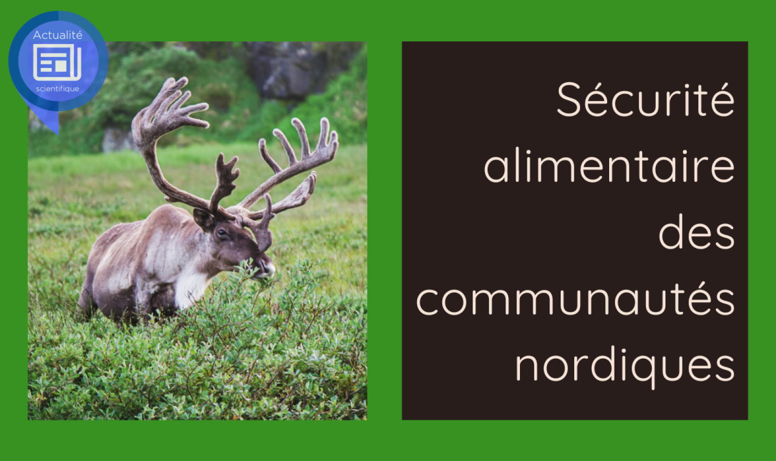 sécurité alimentaire des communautés nordiques - visuel de la page couverture