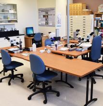 Terrestrial Paleoecology Laboratory