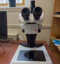 Stereo microscope M80