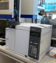 Chromatographe en phase gazeuse avec détecteur FID et TCD