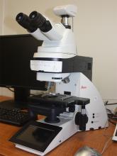 Microscope with digital camera