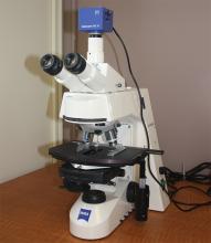 Microscope with digital camera