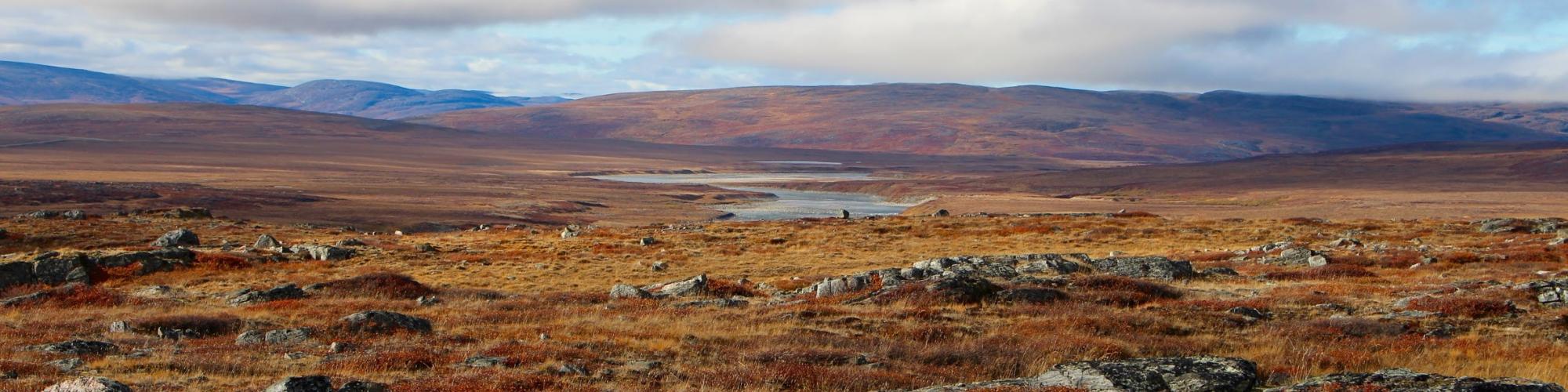 Terres nordiques d'automne